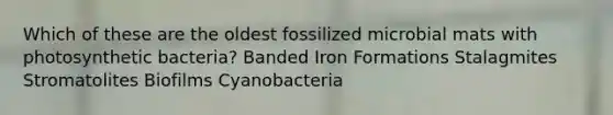 Which of these are the oldest fossilized microbial mats with photosynthetic bacteria? Banded Iron Formations Stalagmites Stromatolites Biofilms Cyanobacteria