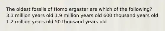 The oldest fossils of Homo ergaster are which of the following? 3.3 million years old 1.9 million years old 600 thousand years old 1.2 million years old 50 thousand years old