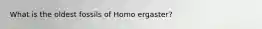 What is the oldest fossils of Homo ergaster?