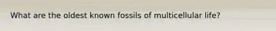 What are the oldest known fossils of multicellular life?