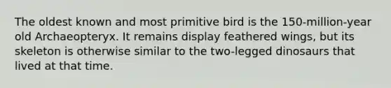 The oldest known and most primitive bird is the 150-million-year old Archaeopteryx. It remains display feathered wings, but its skeleton is otherwise similar to the two-legged dinosaurs that lived at that time.