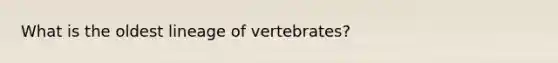 What is the oldest lineage of vertebrates?