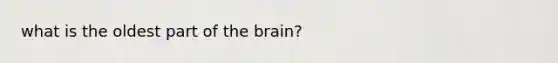 what is the oldest part of the brain?