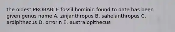 the oldest PROBABLE fossil hominin found to date has been given genus name A. zinjanthropus B. sahelanthropus C. ardipithecus D. orrorin E. australopithecus