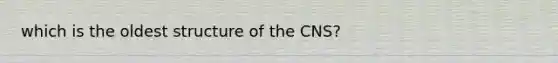 which is the oldest structure of the CNS?