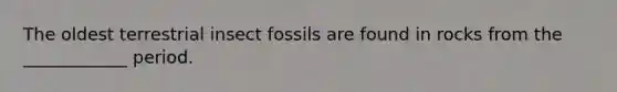 The oldest terrestrial insect fossils are found in rocks from the ____________ period.