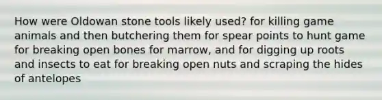 How were Oldowan stone tools likely used? for killing game animals and then butchering them for spear points to hunt game for breaking open bones for marrow, and for digging up roots and insects to eat for breaking open nuts and scraping the hides of antelopes