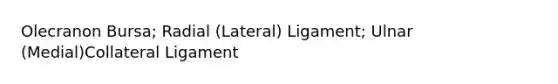 Olecranon Bursa; Radial (Lateral) Ligament; Ulnar (Medial)Collateral Ligament