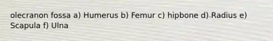 olecranon fossa a) Humerus b) Femur c) hipbone d) Radius e) Scapula f) Ulna