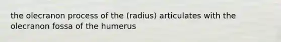 the olecranon process of the (radius) articulates with the olecranon fossa of the humerus