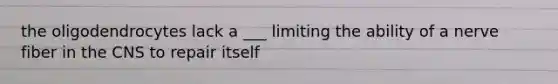 the oligodendrocytes lack a ___ limiting the ability of a nerve fiber in the CNS to repair itself