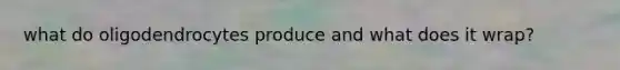what do oligodendrocytes produce and what does it wrap?