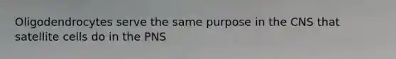 Oligodendrocytes serve the same purpose in the CNS that satellite cells do in the PNS