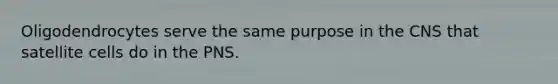 Oligodendrocytes serve the same purpose in the CNS that satellite cells do in the PNS.
