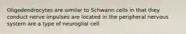 Oligodendrocytes are similar to Schwann cells in that they conduct nerve impulses are located in the peripheral nervous system are a type of neuroglial cell