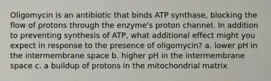 Oligomycin is an antibiotic that binds ATP synthase, blocking the flow of protons through the enzyme's proton channel. In addition to preventing synthesis of ATP, what additional effect might you expect in response to the presence of oligomycin? a. lower pH in the intermembrane space b. higher pH in the intermembrane space c. a buildup of protons in the mitochondrial matrix