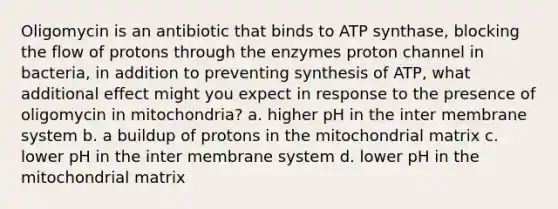 Oligomycin is an antibiotic that binds to ATP synthase, blocking the flow of protons through the enzymes proton channel in bacteria, in addition to preventing synthesis of ATP, what additional effect might you expect in response to the presence of oligomycin in mitochondria? a. higher pH in the inter membrane system b. a buildup of protons in the mitochondrial matrix c. lower pH in the inter membrane system d. lower pH in the mitochondrial matrix