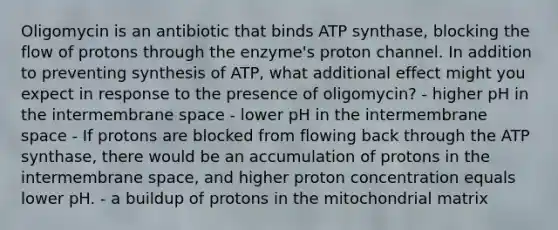 Oligomycin is an antibiotic that binds ATP synthase, blocking the flow of protons through the enzyme's proton channel. In addition to preventing synthesis of ATP, what additional effect might you expect in response to the presence of oligomycin? - higher pH in the intermembrane space - lower pH in the intermembrane space - If protons are blocked from flowing back through the ATP synthase, there would be an accumulation of protons in the intermembrane space, and higher proton concentration equals lower pH. - a buildup of protons in the mitochondrial matrix