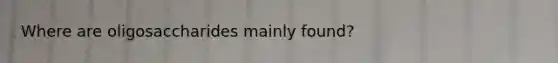 Where are oligosaccharides mainly found?