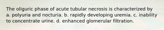The oliguric phase of acute tubular necrosis is characterized by a. polyuria and nocturia. b. rapidly developing uremia. c. inability to concentrate urine. d. enhanced glomerular filtration.