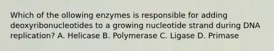 Which of the ollowing enzymes is responsible for adding deoxyribonucleotides to a growing nucleotide strand during DNA replication? A. Helicase B. Polymerase C. Ligase D. Primase