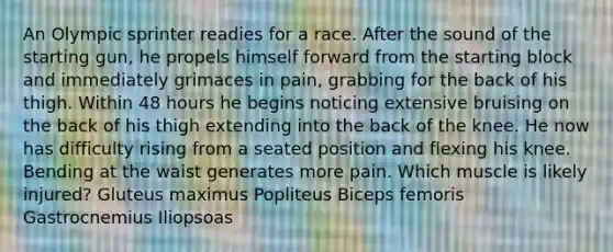 An Olympic sprinter readies for a race. After the sound of the starting gun, he propels himself forward from the starting block and immediately grimaces in pain, grabbing for the back of his thigh. Within 48 hours he begins noticing extensive bruising on the back of his thigh extending into the back of the knee. He now has difficulty rising from a seated position and flexing his knee. Bending at the waist generates more pain. Which muscle is likely injured? Gluteus maximus Popliteus Biceps femoris Gastrocnemius Iliopsoas