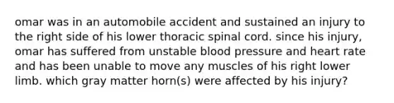 omar was in an automobile accident and sustained an injury to the right side of his lower thoracic spinal cord. since his injury, omar has suffered from unstable blood pressure and heart rate and has been unable to move any muscles of his right lower limb. which gray matter horn(s) were affected by his injury?