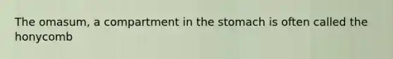 The omasum, a compartment in the stomach is often called the honycomb