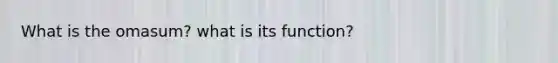 What is the omasum? what is its function?