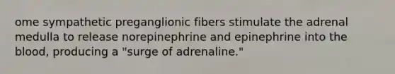 ome sympathetic preganglionic fibers stimulate the adrenal medulla to release norepinephrine and epinephrine into <a href='https://www.questionai.com/knowledge/k7oXMfj7lk-the-blood' class='anchor-knowledge'>the blood</a>, producing a "surge of adrenaline."