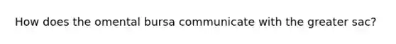 How does the omental bursa communicate with the greater sac?