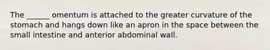 The ______ omentum is attached to the greater curvature of the stomach and hangs down like an apron in the space between the small intestine and anterior abdominal wall.