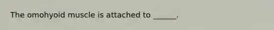 The omohyoid muscle is attached to ______.