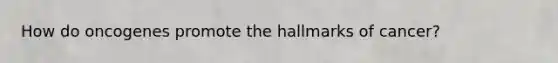 How do oncogenes promote the hallmarks of cancer?