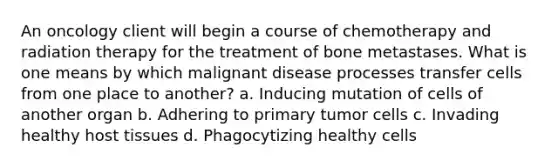 An oncology client will begin a course of chemotherapy and radiation therapy for the treatment of bone metastases. What is one means by which malignant disease processes transfer cells from one place to another? a. Inducing mutation of cells of another organ b. Adhering to primary tumor cells c. Invading healthy host tissues d. Phagocytizing healthy cells