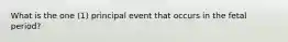 What is the one (1) principal event that occurs in the fetal period?