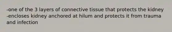 -one of the 3 layers of connective tissue that protects the kidney -encloses kidney anchored at hilum and protects it from trauma and infection