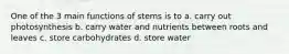 One of the 3 main functions of stems is to a. carry out photosynthesis b. carry water and nutrients between roots and leaves c. store carbohydrates d. store water