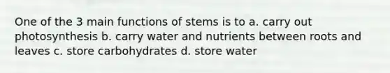 One of the 3 main functions of stems is to a. carry out photosynthesis b. carry water and nutrients between roots and leaves c. store carbohydrates d. store water