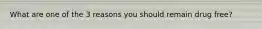 What are one of the 3 reasons you should remain drug free?