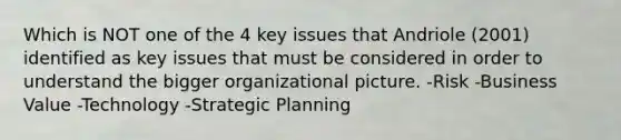 Which is NOT one of the 4 key issues that Andriole (2001) identified as key issues that must be considered in order to understand the bigger organizational picture. -Risk -Business Value -Technology -Strategic Planning