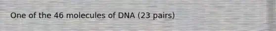 One of the 46 molecules of DNA (23 pairs)