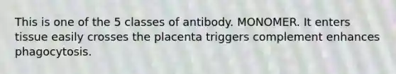 This is one of the 5 classes of antibody. MONOMER. It enters tissue easily crosses the placenta triggers complement enhances phagocytosis.