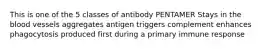 This is one of the 5 classes of antibody PENTAMER Stays in the blood vessels aggregates antigen triggers complement enhances phagocytosis produced first during a primary immune response