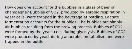 How does one account for the bubbles in a glass of beer or champagne? Bubbles of CO2, produced by <a href='https://www.questionai.com/knowledge/kyxGdbadrV-aerobic-respiration' class='anchor-knowledge'>aerobic respiration</a> in yeast cells, were trapped in the beverage at bottling. Lactate fermentation accounts for the bubbles. The bubbles are simply air bubbles resulting from the brewing process. Bubbles of CO2 were formed by the yeast cells during glycolysis. Bubbles of CO2 were produced by yeast during anaerobic metabolism and were trapped in the bottle.