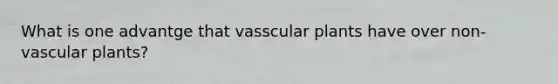 What is one advantge that vasscular plants have over non-vascular plants?