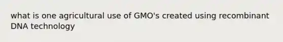 what is one agricultural use of GMO's created using recombinant DNA technology