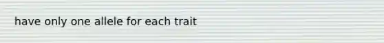 have only one allele for each trait