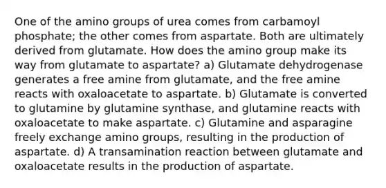 One of the amino groups of urea comes from carbamoyl phosphate; the other comes from aspartate. Both are ultimately derived from glutamate. How does the amino group make its way from glutamate to aspartate? a) Glutamate dehydrogenase generates a free amine from glutamate, and the free amine reacts with oxaloacetate to aspartate. b) Glutamate is converted to glutamine by glutamine synthase, and glutamine reacts with oxaloacetate to make aspartate. c) Glutamine and asparagine freely exchange amino groups, resulting in the production of aspartate. d) A transamination reaction between glutamate and oxaloacetate results in the production of aspartate.