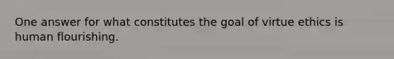 One answer for what constitutes the goal of virtue ethics is human flourishing.